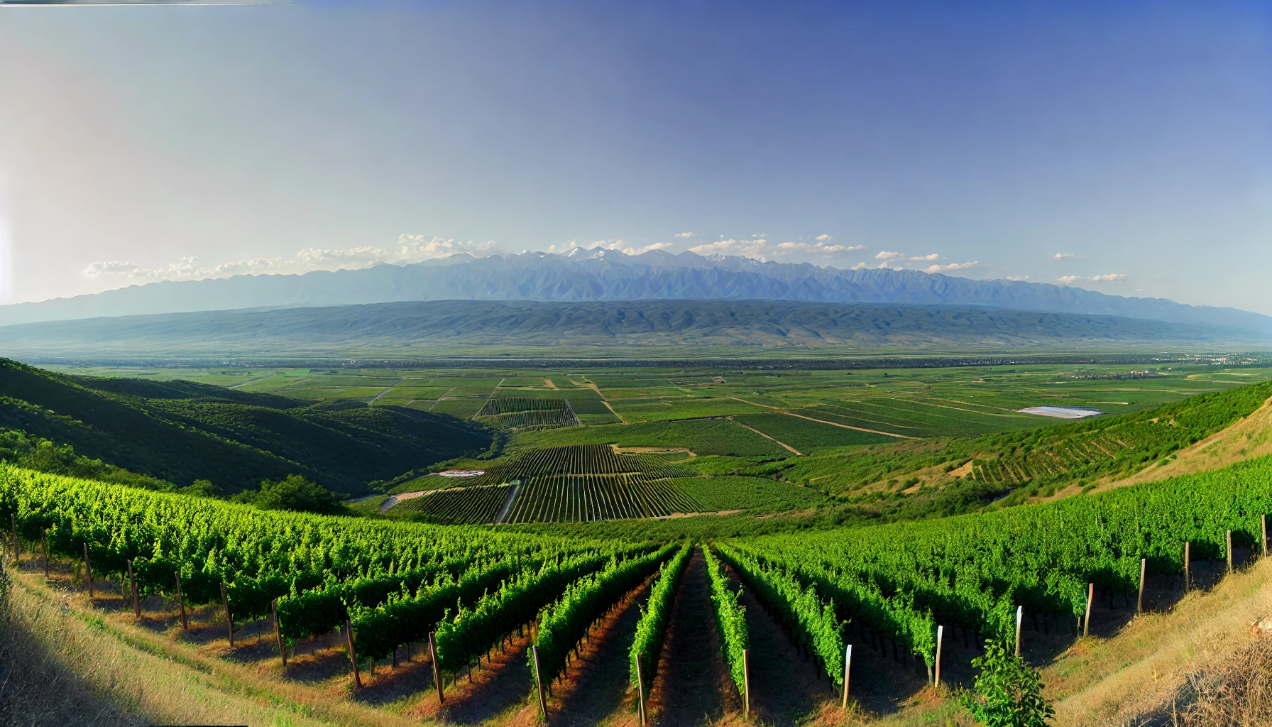 The image of the panoramic view of rolling vineyards in the Kakheti